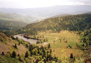 Lac des truites